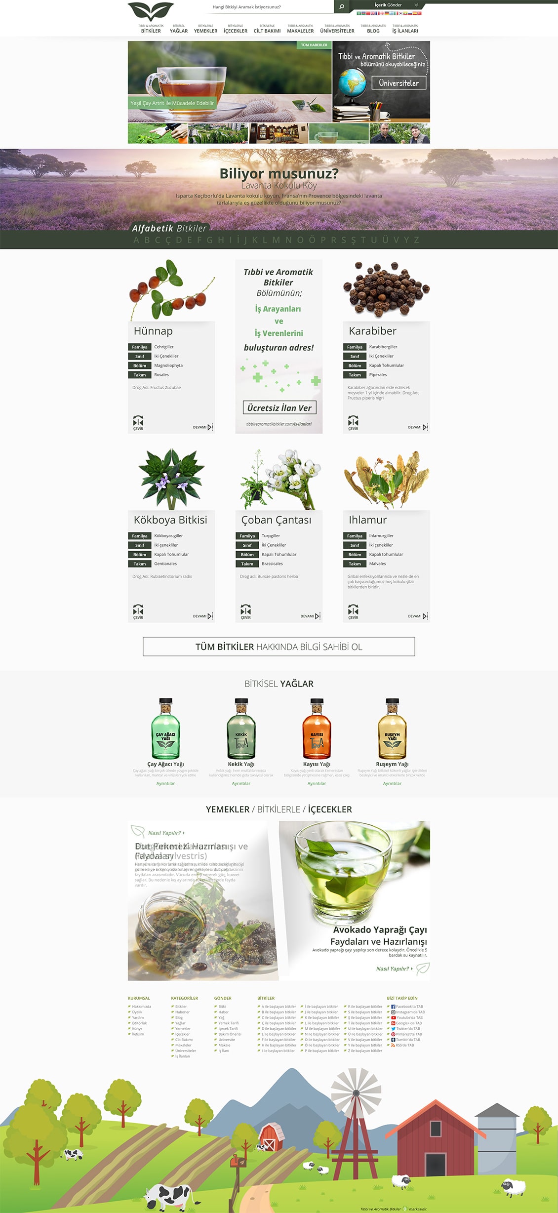 Tıbbi ve Aromatik Bitkiler